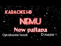 Download Lagu karaoke hd NEMU New pallapa nada d mayor