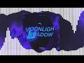 Download Lagu Moonlight Shadow - Techno - dj tani \u0026 FEL!X - TikTok (OUT NOW ON SPOTIFY)