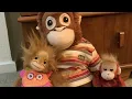 My Orangutan Collection what size clothes fit IKEA plush orangutan Jilly Baby Orangutan TY Beanie