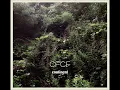 CFCF - You Hear Colours