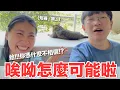 Download Lagu 【好味小姐】哎呦怎麼可能啦！蛤！你憑什麼不相信！？｜好味貓日常254