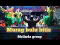 Download Lagu MURAG BULU BITIS.MELINDA GROUP