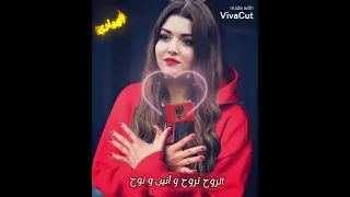 كان نار تقيد من لمس ايد دندنها