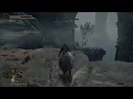 Elden Ring 9000 Runes from boulder farm anyone know why