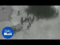 of Niger ambush shows US forces trying to escape - Daily Mail