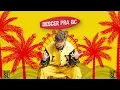 DJ Ari SL & Brenno e Matheus - Descer pra BC