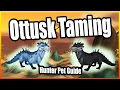 Ottusk Taming Hunter Pet Guide Dragonflight