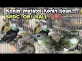 Lagu Konin Metatol Konin Ijoan...‼️ SRDC ORI BALI‼️‼️‼️