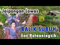 Download Lagu BALIK SUBUH - EEN RATNANINGSIH || JAIPONGAN SUNDA #jaipongan #lagusunda @Kangdedicosmo