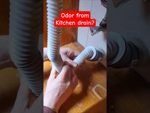 Fix odor from Sink Drain #easyfix #kitchenfix #babieztv #shorts #lifehacks