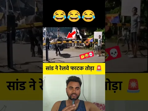 सांड ने रेलवे फाटक को तोड़ा 🚨 #shorts #bull #railway #railwayfatak #broken #shortvideo #news