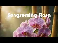 Download Lagu Sengseming Rasa