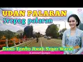 Lagu UDAN PALARAN❗️SREPEG PALARAN❗️GAWE TOMBO AWAK SEGER WARAS