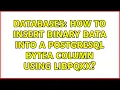 Databases How to insert binary data into a PostgreSQL BYTEA column using libpqxx