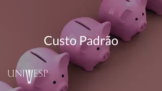 Gestão de Custos  - Aula 07 - Custo padrão