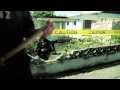 Download Lagu Protoje - JA (Official Music Video)