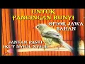 Download Lagu OPIOR JAWA GACOR_UNTUK PANCINGAN BUNYI OPIOR JAWA BAHAN@KICAU_CHANEL24