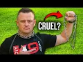 The TRUTH About Prong Collars Sizes Brands Fit Myths