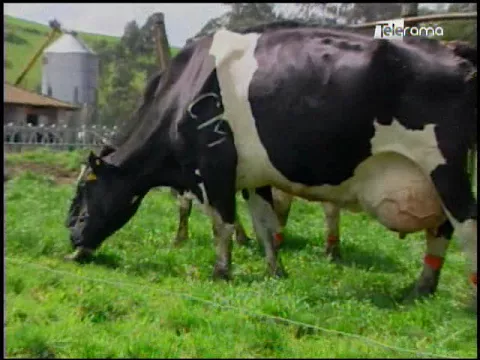 Ecuador Agropecuario 29-03-2018