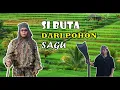 Download Lagu film pendek - Si buta Dari Pohon Sagu, Ampana tojo una - una