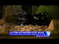 Amarillo man dies following motorcycle crash in the Lower Valley