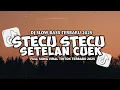 Download Lagu DJ STECU STECU SETELAN CUEK BARU MALU SLOW VIRAL TIKTOK FULL SONG MAMAN FVNDY 2025