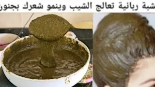 عشبة معجزة غنية بمادة الميلانين تغطي شيب مقوية للشعر أقوى علاج لنمو تقوية توقف تساقط تأخرنموشيب 
