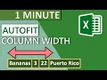 Excel Column Autofit Width 2020 - 1 MINUTE