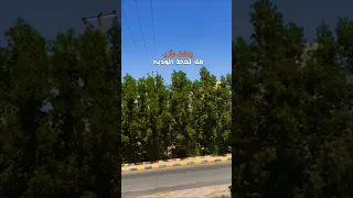 ياخط مأرب قل لخط الوديعة عدي السفياني سالم المسعودي مأرب صنعاء اليمن اكسبلور 