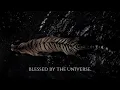 Lagu ╭ BLESSED BY THE UNIVERSE ✦ expect a miracle in less than an hour ╮