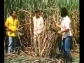 Download Lagu Milionário e José Rico - Minha Volta / Sozinho na Estrada