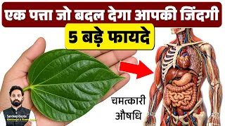 सिर्फ़ 1 पत्ता चबा लो, मिलेंगे 5 बड़े फायदे | हमेशा सेहतमंद रहने का राज़ | Betel Leaf