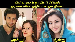 priyamudan nagini serial currently status girls expect 