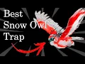 The Snow Owl Trap Ark - Easy Snow Owl Trap