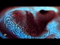 Download Lagu Pink Floyd - Echoes (no screams mix)