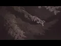 Thom Yorke - Suspirium (grince AMV)