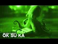 Lagu Funk Tribu \u0026 Vall Du Son - OK SU KA (Official Visualizer)