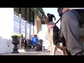 Roanoke shelter helps neglected dog and puppies
