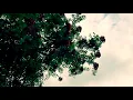 Fumio Miyashita (フミオ) - 天女宮 ('Tennyogû')