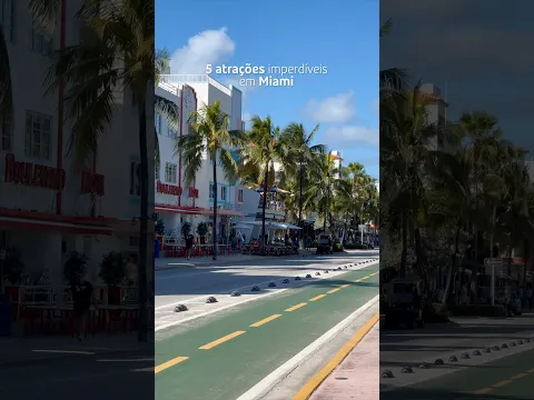 5 ATRAÇÕES IMPERDÍVEIS em MIAMI ~ Flórida