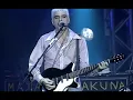 Lulu Santos - Toda Forma De Amor (Ao Vivo)