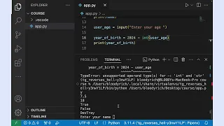 Python Input Type Conversion