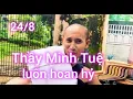 Download Lagu 24/8 Thầy Minh Tuệ hoan hỉ cho những câu vô duyên