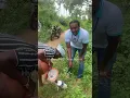 Download Lagu “Eetha Neera (Toddy) in Warangal | Natural Energy Drink | Telugu Village Tradition”