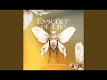 Lagu Essence of Life