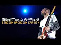 Download Lagu Red Hot Chili Peppers - Stadium Arcadium Era Mix