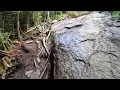 Exploring giant mountain in the adirondaks of New York