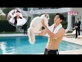 Download Lagu Cursed Girl Turn Into Cat After ONS!Never Expect Unknowing CEO Saved Her\u0026Took Home To Spoil!LoveCame
