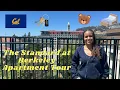 The Standard Berkeley Apartment Tour Astoria Unit UC Berkeley