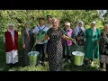 Download Lagu Один день в ТАТАРСКОЙ деревне - паримся в БАНЕ, печем ПЕРЕПЕЧИ, играем на гармони! ТАТАРСТАН